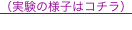 shapeimage_1_link_0